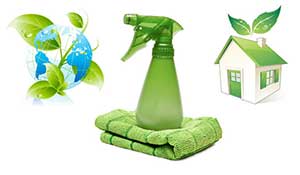 Green Cleaning Supplies